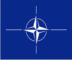 NATO’nun Olağanüstü Çevrimiçi Zirvesi başladı